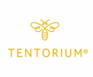 Tentorium